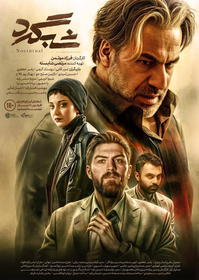 فیلم شبگرد