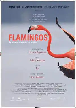 فلامینگوها  زندگی پس از شهاب سنگ