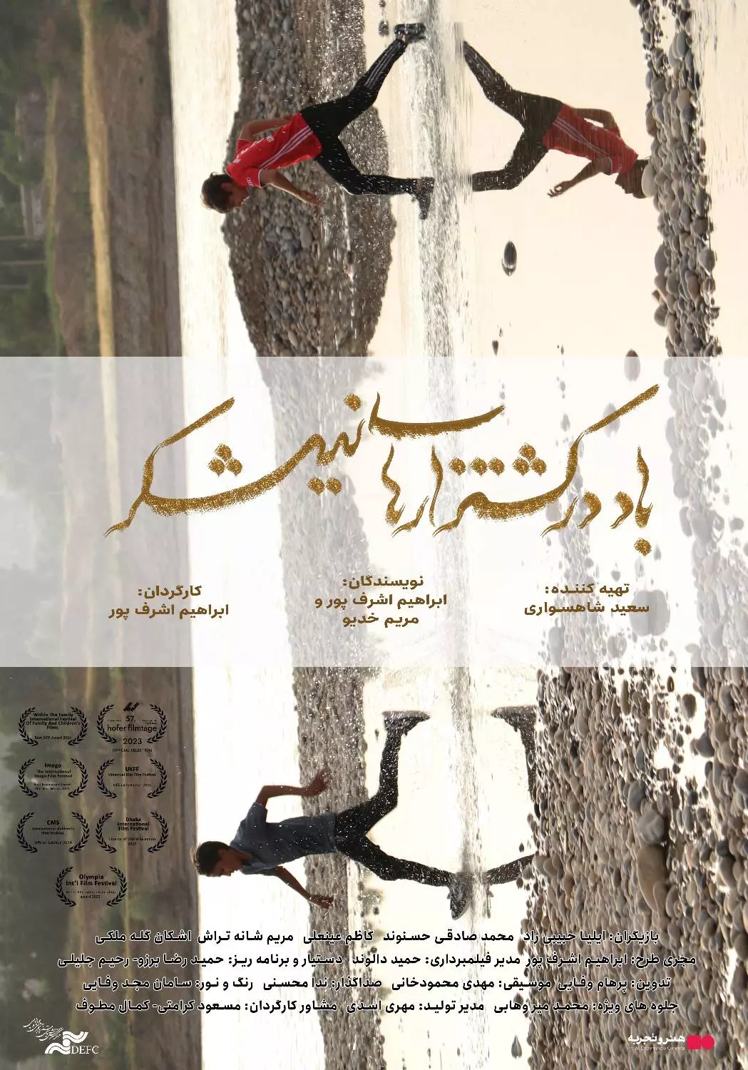 باد در کشتزارهای نیشکر